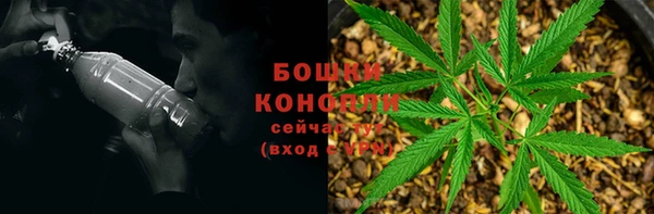 амф Каменногорск