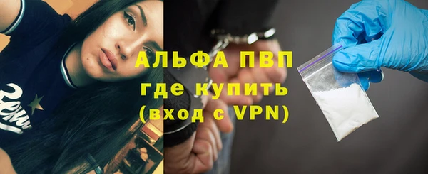 амф Каменногорск