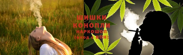 метадон Каменка