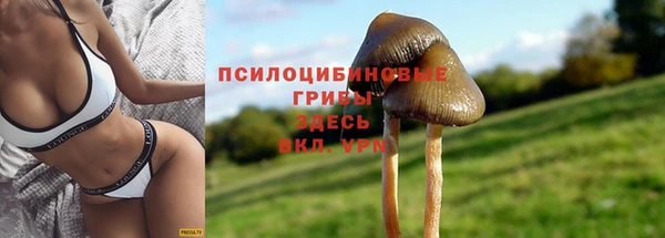 шишки Каменск-Шахтинский