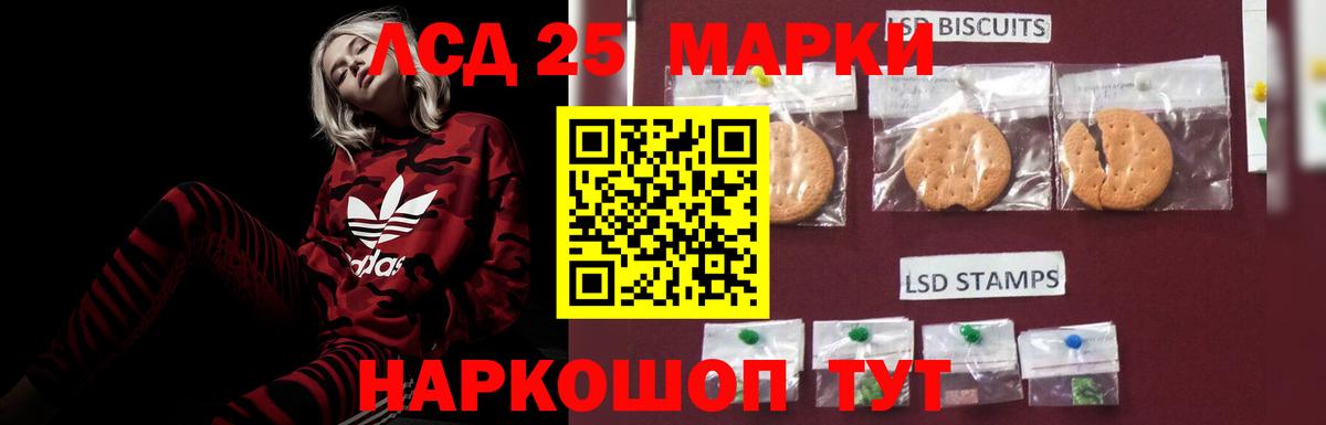 Лсд 25 экстази кислота  LSD-25 экстази кислота  Лсд 25 экстази  Новочеркасск  Вход с VPN 