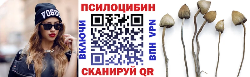 как найти закладки  Новочеркасск  Галлюциногенные грибы мицелий 