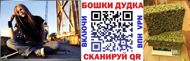 Бошки Шишки Amnesia  darknet официальный сайт  Новочеркасск 